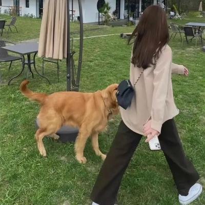欲海春潮
